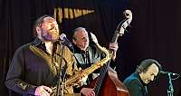 Alligators of Swing Pressefoto 08.09.2025