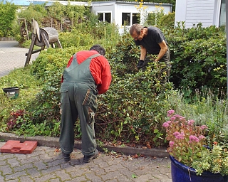Zwei Personen pflegen Pflanzen in einem Garten.